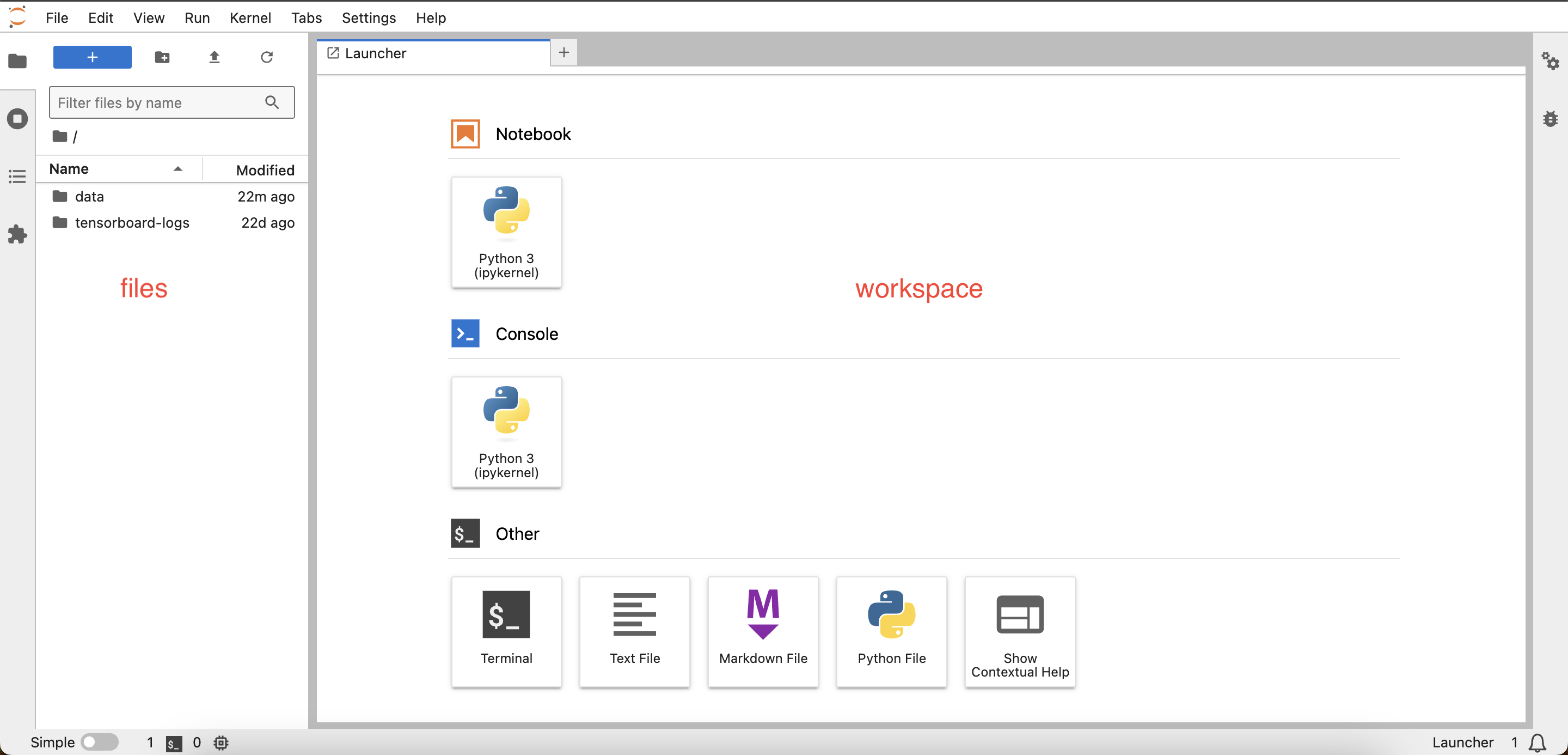 JupyterLab Interface