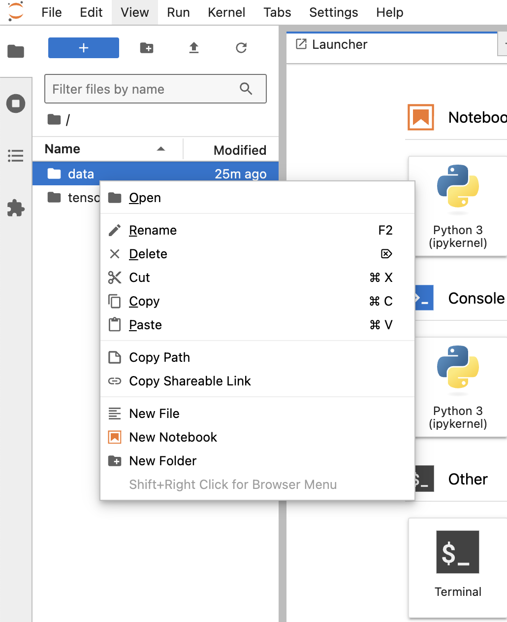 JupyterLab Interface