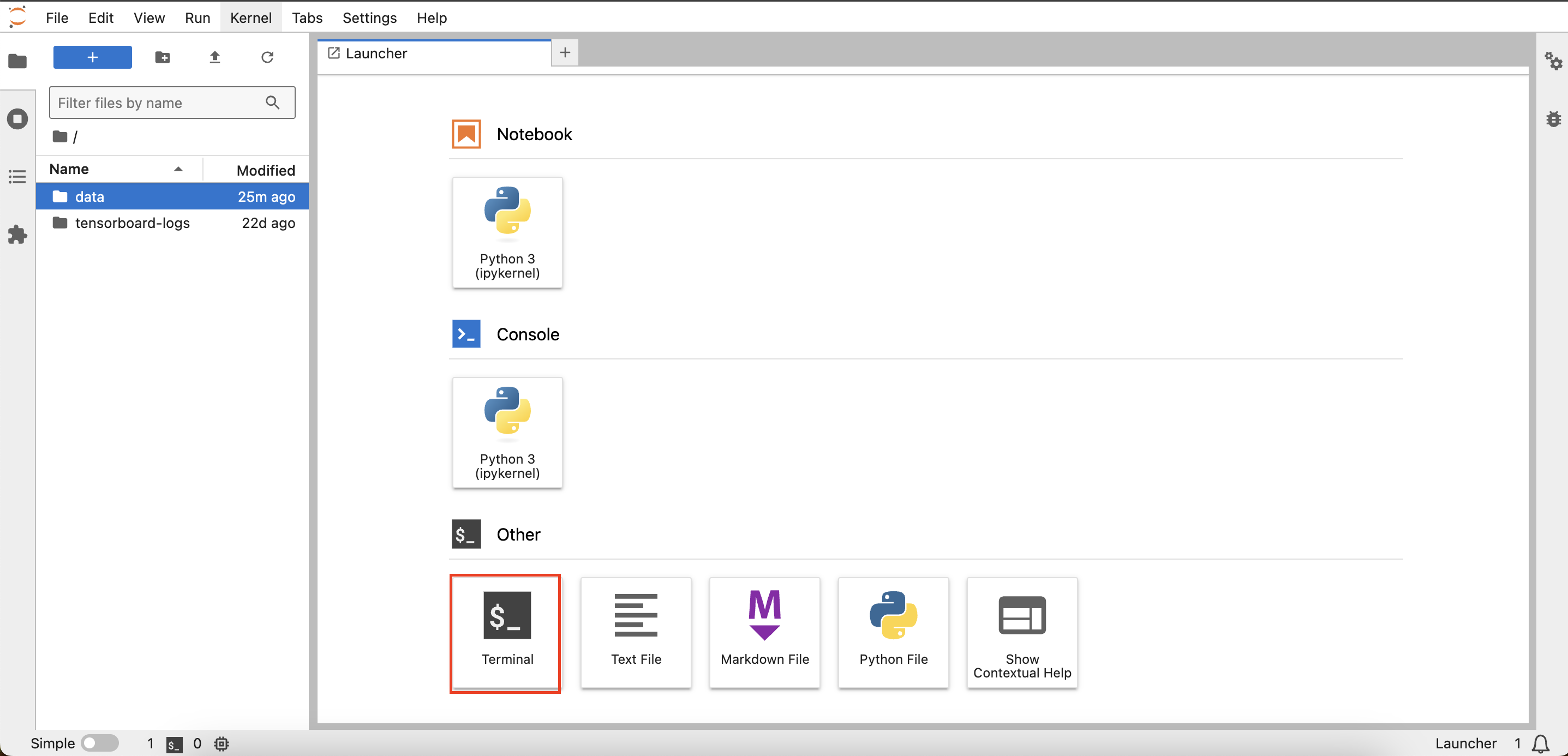 JupyterLab Interface